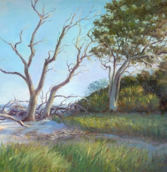 Jekyll Oaks